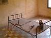 Torture Room, S21